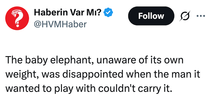 Haberin Var Mı? @HVMHaber Follow The baby elephant, unaware of its own weight, was disappointed when the man it wanted to play with couldn't carry it.