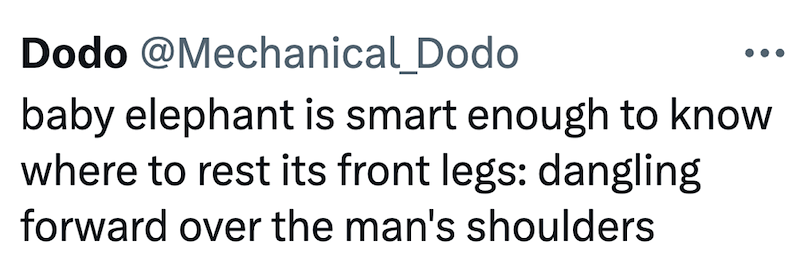Dodo @Mechanical_Dodo baby elephant is smart enough to know where to rest its front legs: dangling forward over the man's shoulders