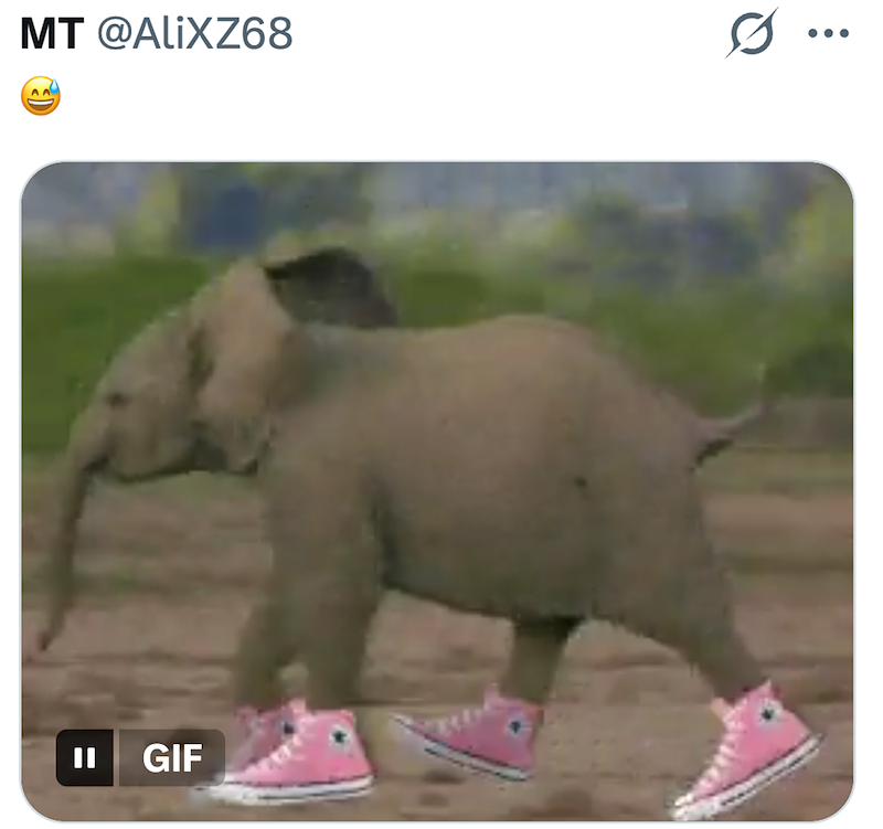 MT @AliXZ68 0. ... II GIF