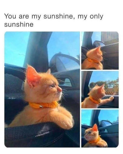 You are my sunshine, my only sunshine