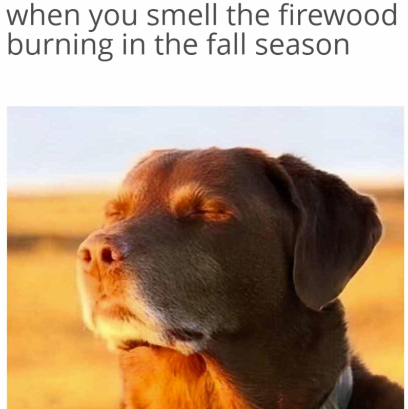 when you smell the firewood burning in the fall season