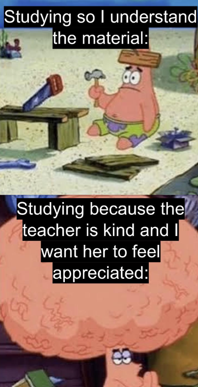 Studying so I understand the material: Studying because the teacher is kind and I want her to feel appreciated: LL
