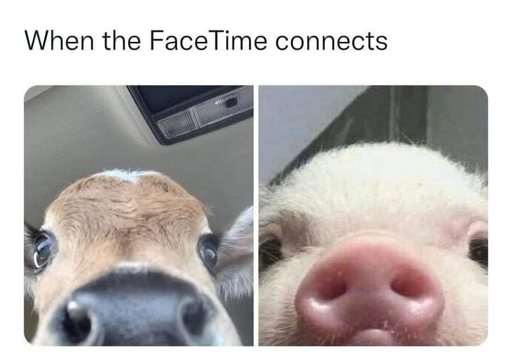 When the FaceTime connects