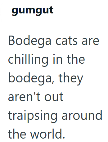 gumgut Bodega cats are chilling in the bodega, they aren't out traipsing around the world.