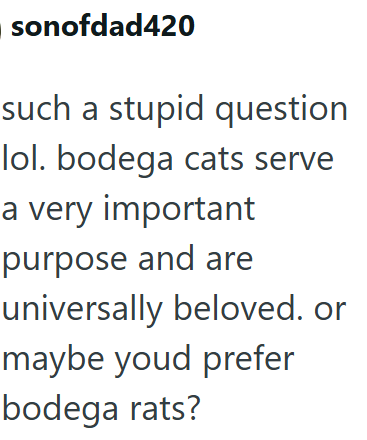 sonofdad420 such a stupid question lol. bodega cats serve a very important purpose and are universally beloved. or maybe youd prefer bodega rats?