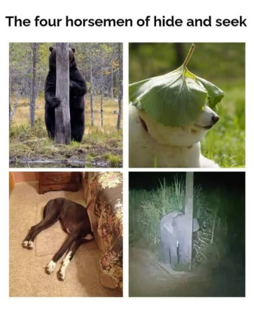 The four horsemen of hide and seek