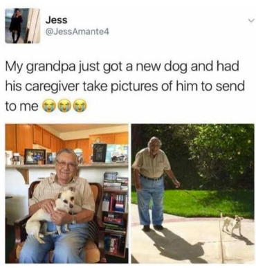 Jess @JessAmante4 My grandpa just got a new dog and had his caregiver take pictures of him to send to me