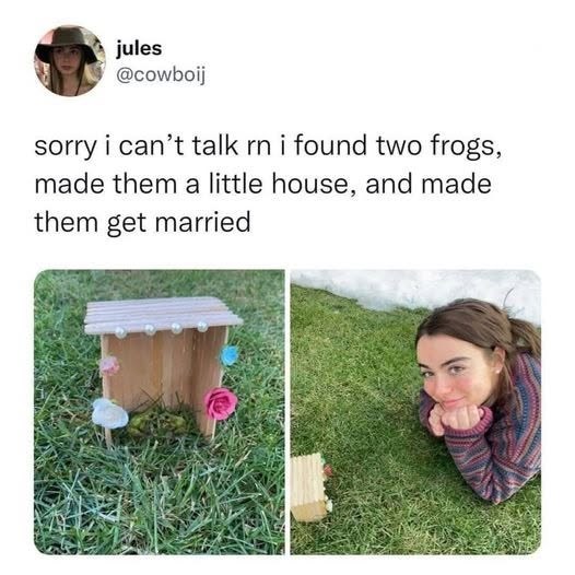 jules @cowboij sorry i can't talk rn i found two frogs, made them a little house, and made them get married