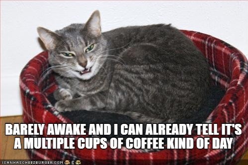 BARELY AWAKE AND I CAN ALREADY TELL IT'S A MULTIPLE CUPS OF COFFEE KIND OF DAY ICANHASCHEEZBURGER.COM