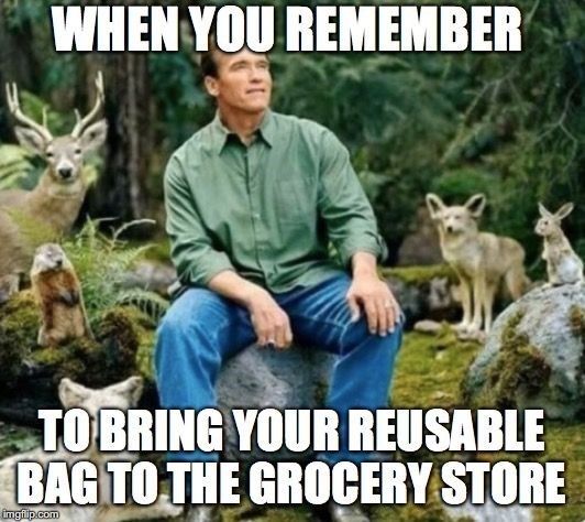 WHEN YOU REMEMBER TO BRING YOUR REUSABLE BAG TO THE GROCERY STORE ingiip.com