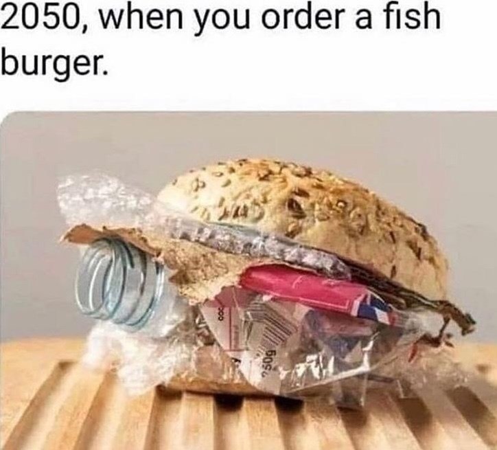 2050, when you order a fish burger. 000 250g