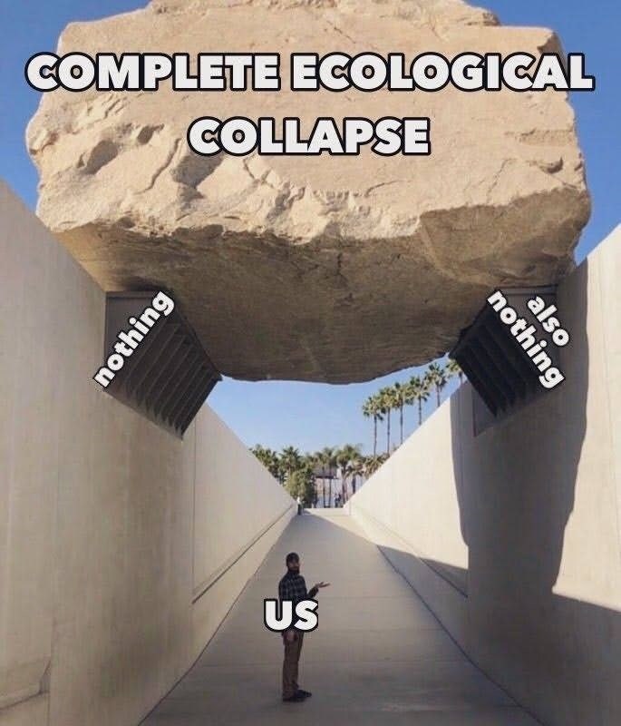 COMPLETE ECOLOGICAL COLLAPSE nothing US also nothing