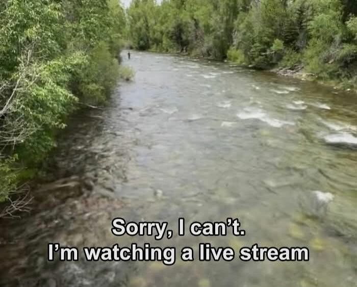 Sorry, I can't. I'm watching a live stream