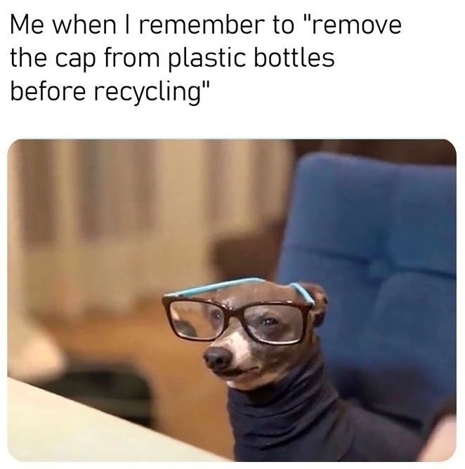 Me when I remember to "remove the cap from plastic bottles. before recycling"