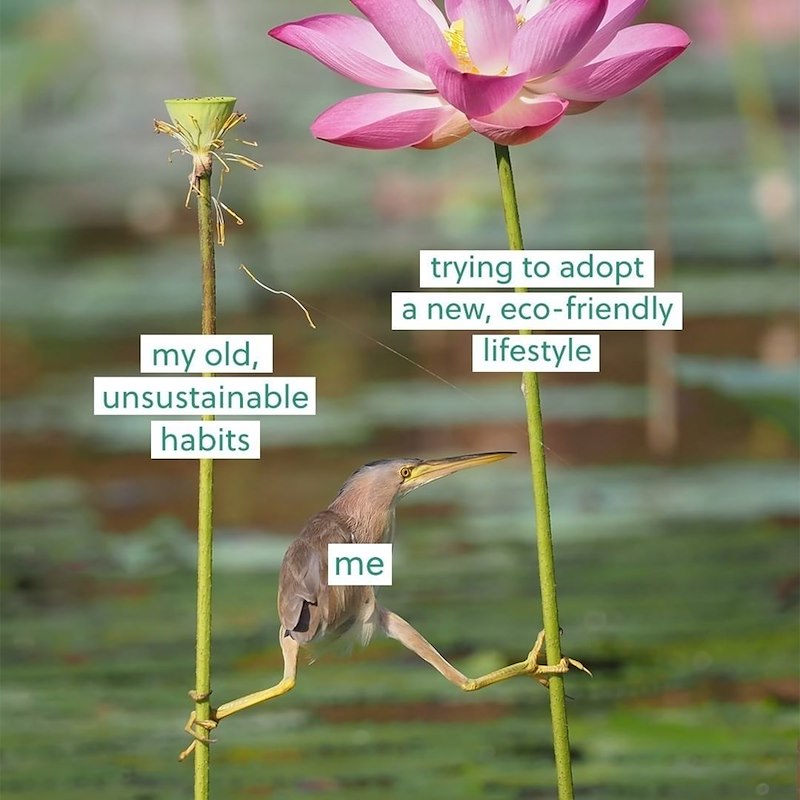 my old, unsustainable habits trying to adopt a new, eco-friendly lifestyle me