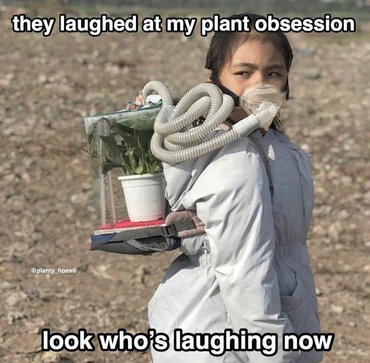 they laughed at my plant obsession @planty_hoesⓇ look who's laughing now