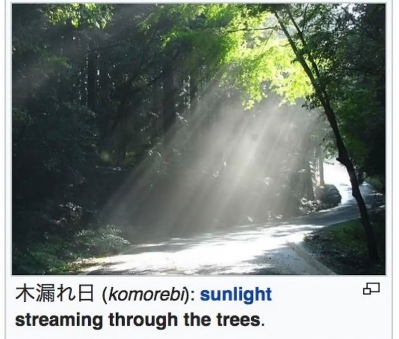 Ah (komorebi): sunlight streaming through the trees. 品