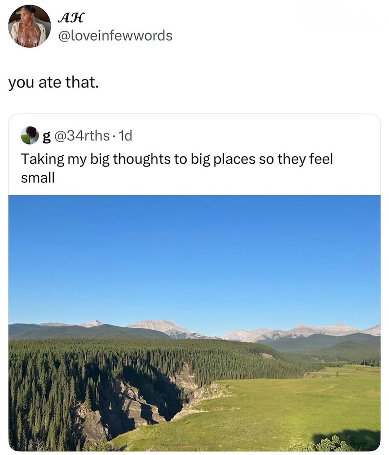AH @loveinfewwords you ate that. g@34rths. 1d Taking my big thoughts to big places so they feel small