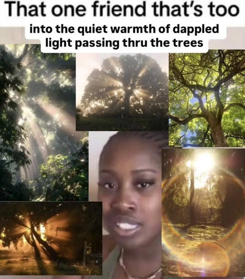 That one friend that's too into the quiet warmth of dappled light passing thru the trees