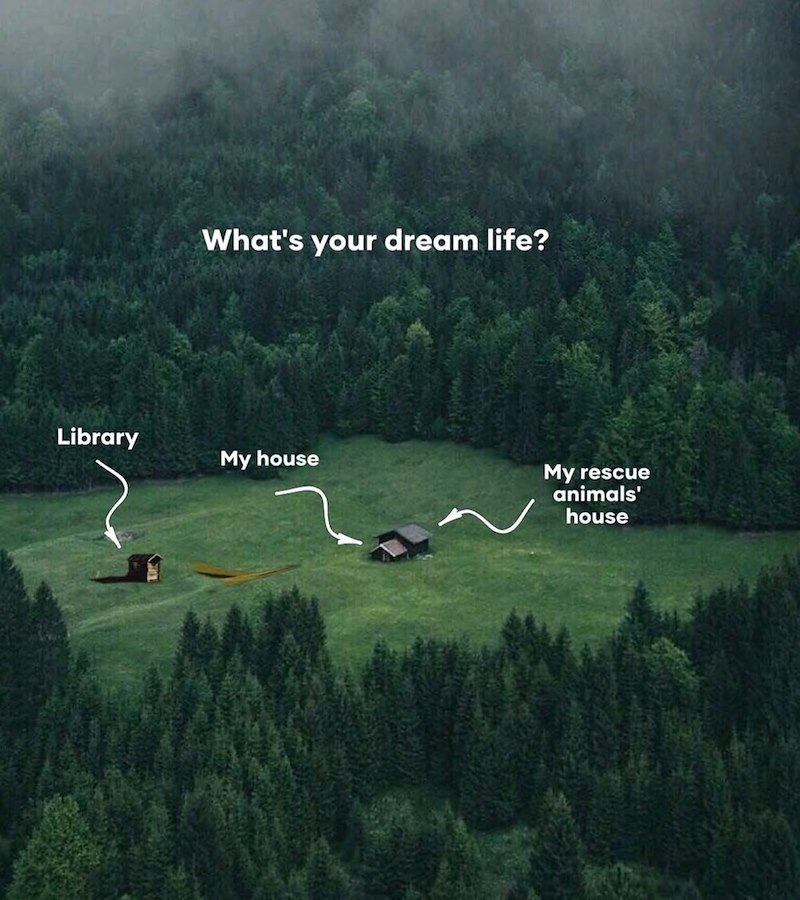 What's your dream life? Library My house My rescue animals' house