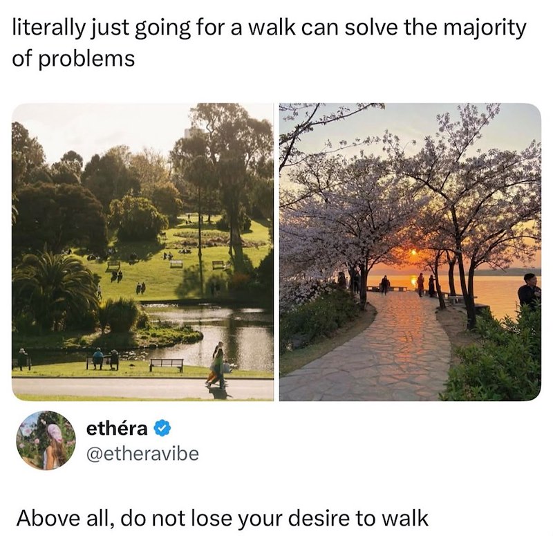 literally just going for a walk can solve the majority of problems ethéra @etheravibe Above all, do not lose your desire to walk