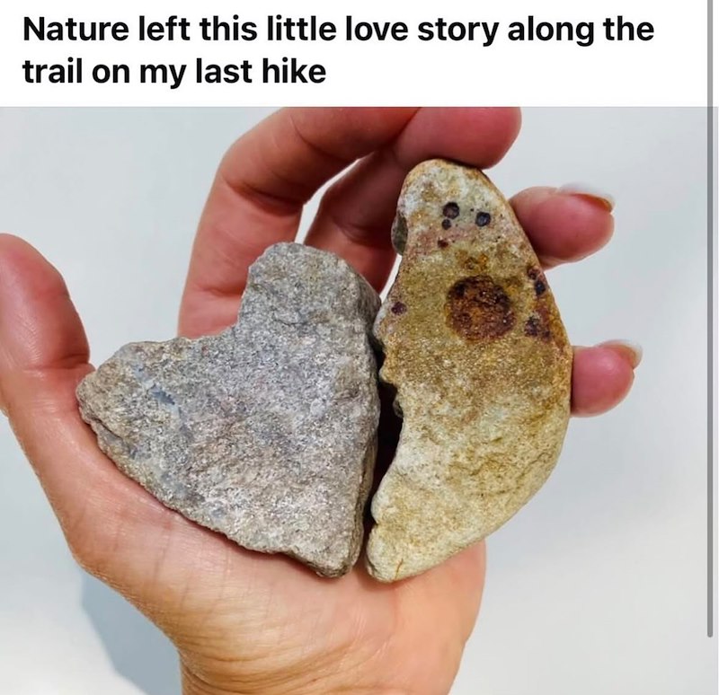 Nature left this little love story along the trail on my last hike