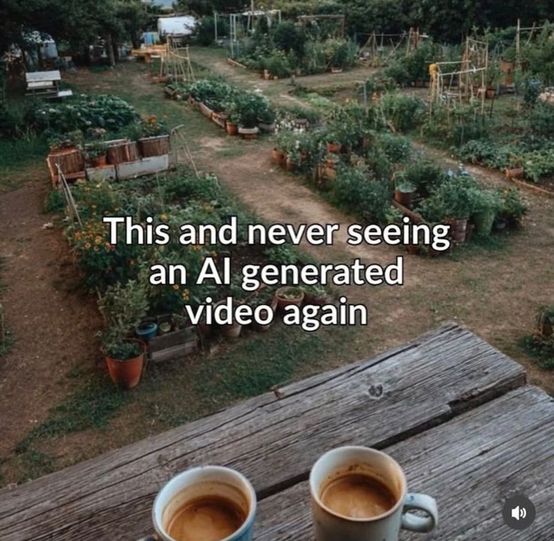 This and never seeing an Al generated video again