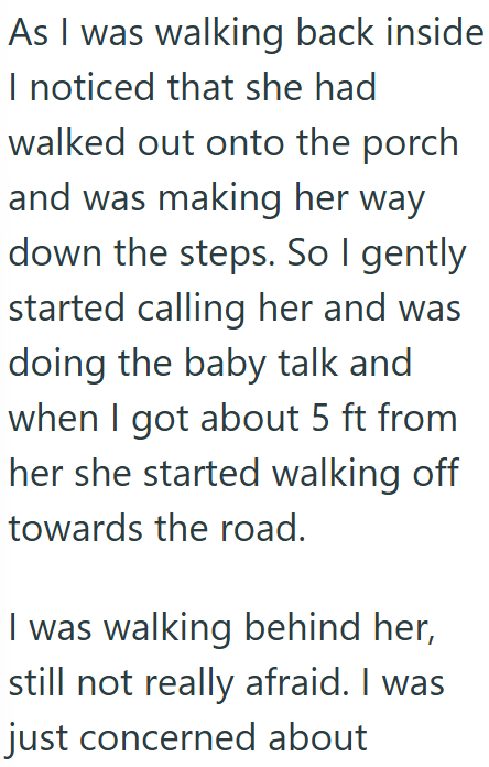 As I was walking back inside I noticed that she had walked out onto the porch and was making her way down the steps. So I gently started calling her and was doing the baby talk and when I got about 5 ft from her she started walking off towards the road. I was walking behind her, still not really afraid. I was just concerned about