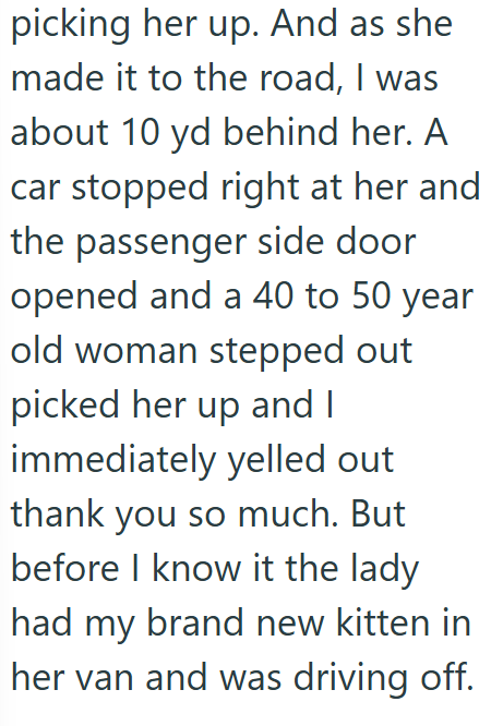 picking her up. And as she made it to the road, I was about 10 yd behind her. A car stopped right at her and the passenger side door opened and a 40 to 50 year old woman stepped out picked her up and I immediately yelled out thank you so much. But before I know it the lady had my brand new kitten in her van and was driving off.