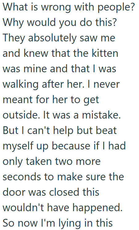 What is wrong with people? Why would you do this? They absolutely saw me and knew that the kitten was mine and that I was walking after her. I never meant for her to get outside. It was a mistake. But I can't help but beat myself up because if I had only taken two more seconds to make sure the door was closed this wouldn't have happened. So now I'm lying in this