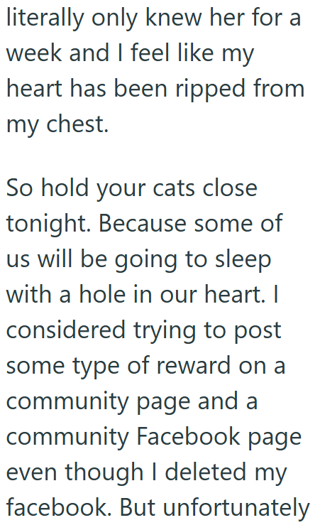 literally only knew her for a week and I feel like my heart has been ripped from my chest. So hold your cats close tonight. Because some of us will be going to sleep with a hole in our heart. I considered trying to post some type of reward on a community page and a community Facebook page even though I deleted my facebook. But unfortunately