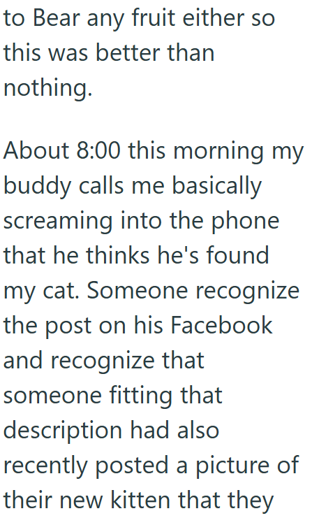 to Bear any fruit either so this was better than nothing. About 8:00 this morning my buddy calls me basically screaming into the phone that he thinks he's found my cat. Someone recognize the post on his Facebook and recognize that someone fitting that description had also recently posted a picture of their new kitten that they