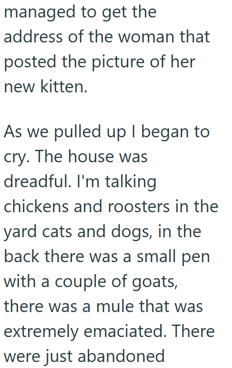 managed to get the address of the woman that posted the picture of her new kitten. As we pulled up I began to cry. The house was dreadful. I'm talking chickens and roosters in the yard cats and dogs, in the back there was a small pen with a couple of goats, there was a mule that was extremely emaciated. There were just abandoned