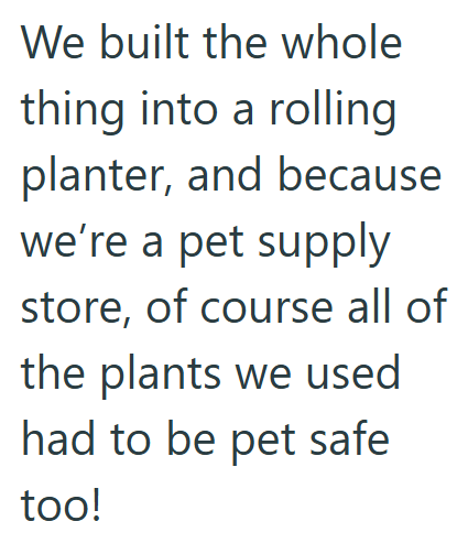 We built the whole thing into a rolling planter, and because we're a pet supply store, of course all of the plants we used had to be pet safe too!