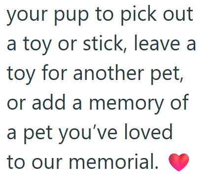 your pup to pick out a toy or stick, leave a toy for another pet, or add a memory of a pet you've loved to our memorial.