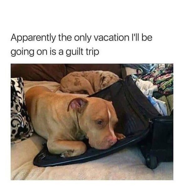 Apparently the only vacation I'll be going on is a guilt trip