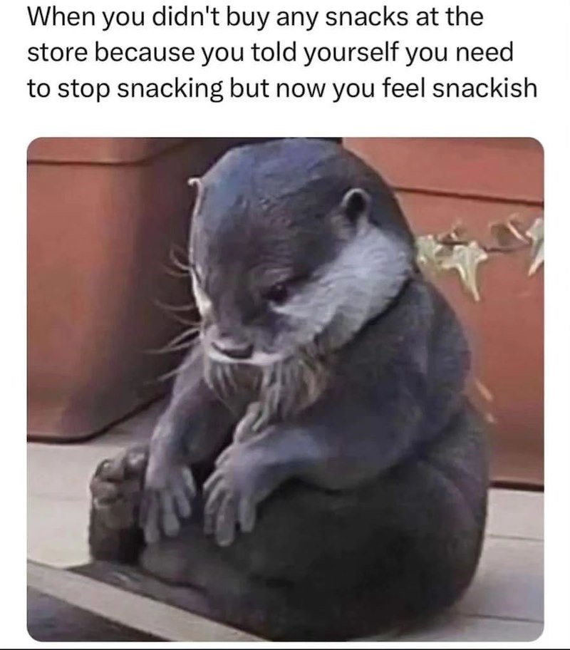 When you didn't buy any snacks at the store because you told yourself you need to stop snacking but now you feel snackish