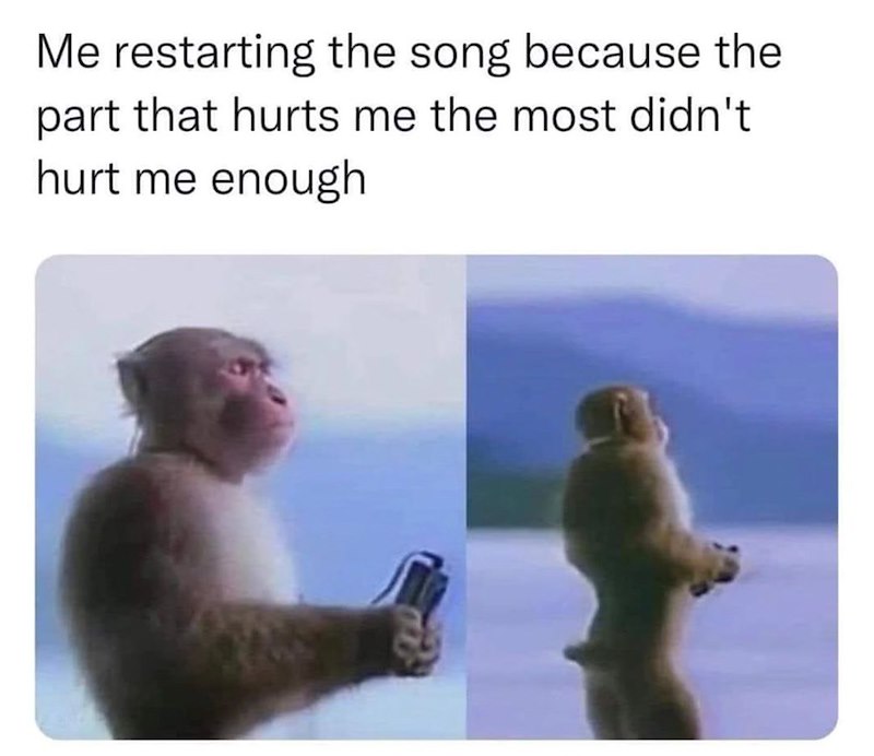 Me restarting the song because the part that hurts me the most didn't hurt me enough