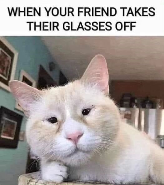 WHEN YOUR FRIEND TAKES THEIR GLASSES OFF A