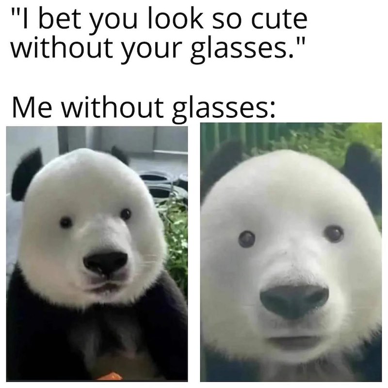 "I bet you look so cute without your glasses." Me without glasses: