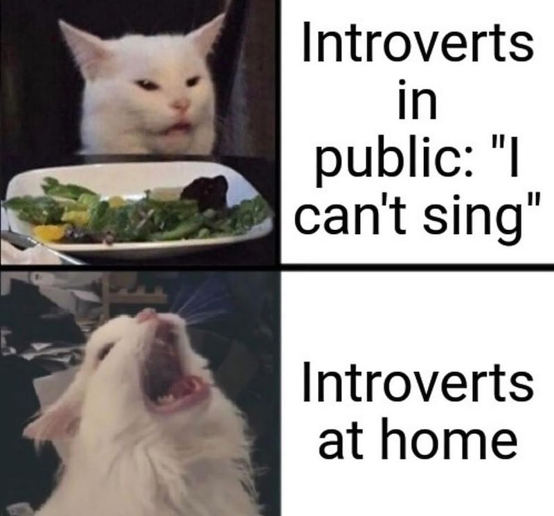 Introverts in public: "I can't sing" Introverts at home