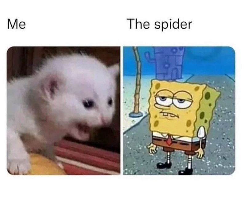 Me The spider
