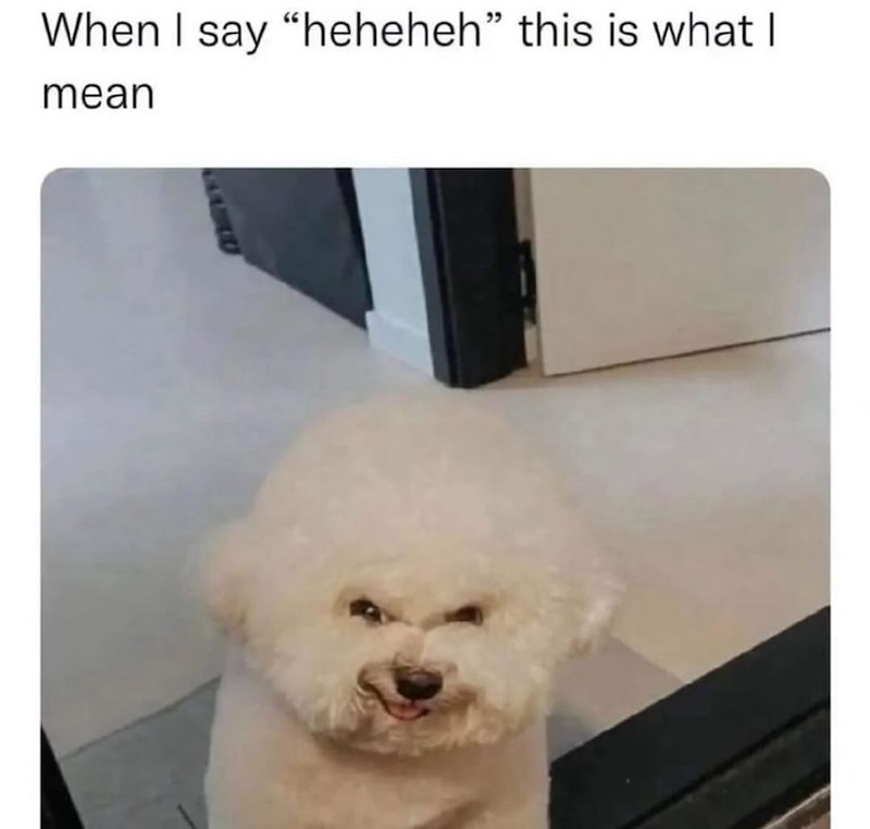 When I say "heheheh” this is what I mean