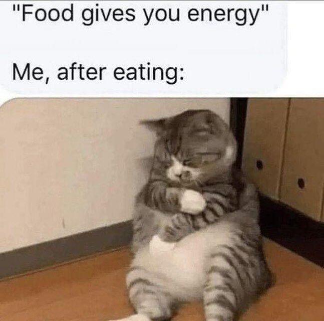"Food gives you energy" Me, after eating: