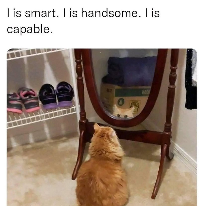 I is smart. I is handsome. I is capable.