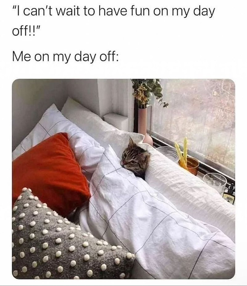 "I can't wait to have fun on my day off!!" Me on my day off: