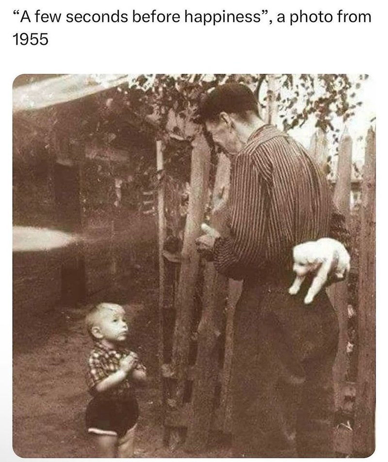 "A few seconds before happiness", a photo from 1955