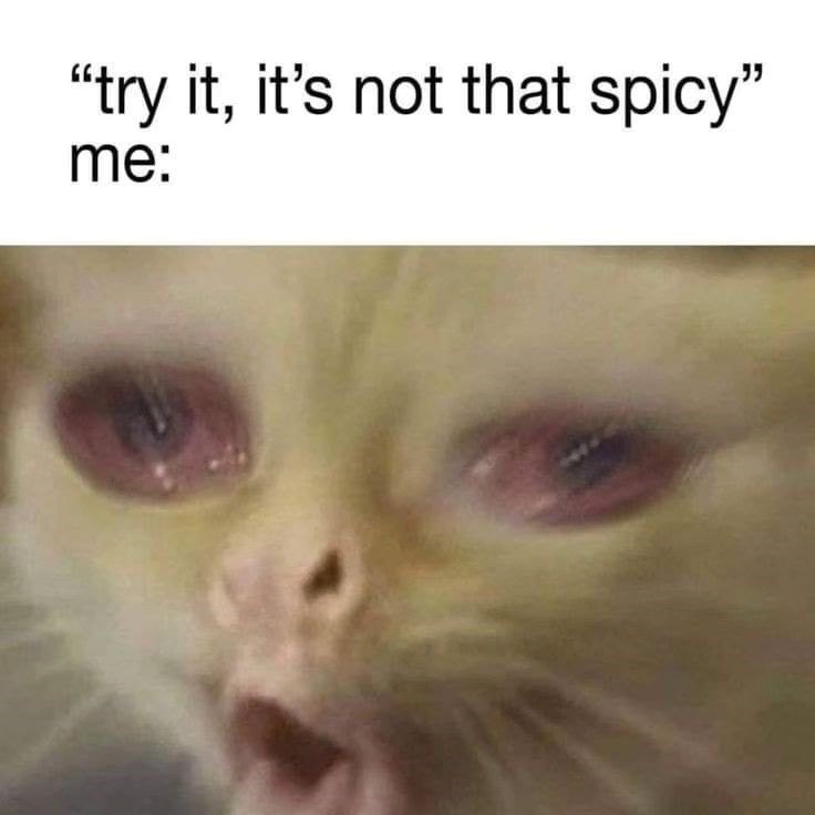 "try it, it's not that spicy" me: