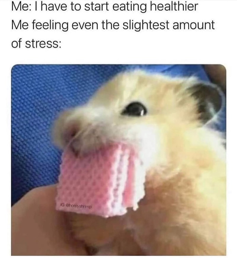 Me: I have to start eating healthier Me feeling even the slightest amount of stress: IG Ghomyshrimp