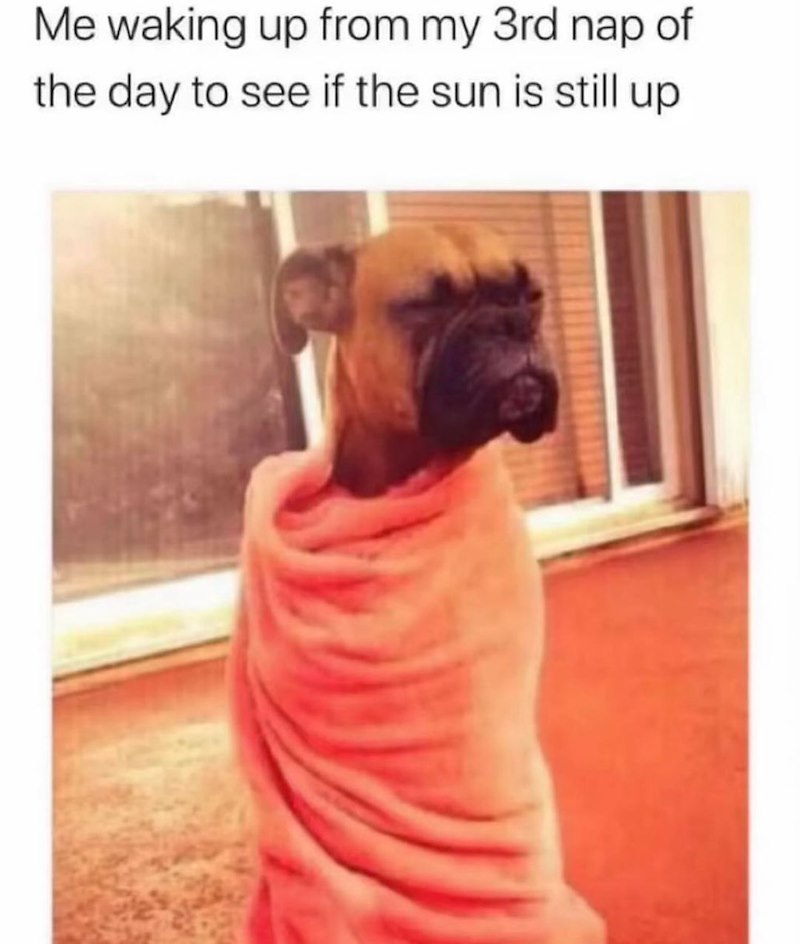 Me waking up from my 3rd nap of the day to see if the sun is still up